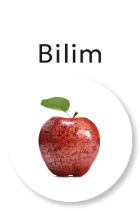 Bilim