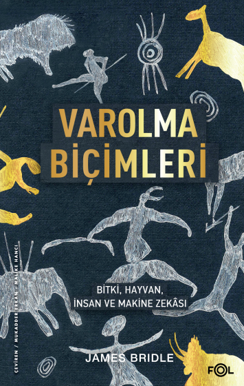 Varolma Biçimleri Varolma Biçimleri